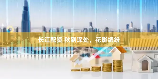 长江配资 秋到深处，花影缤纷